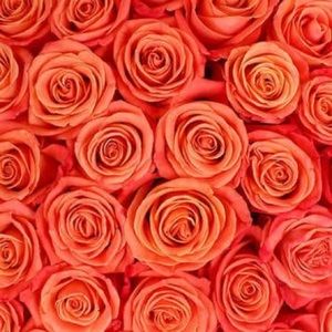 Meet your Posher, Shalanda